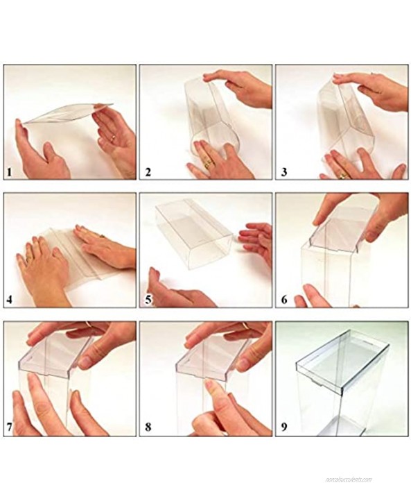 DollSafe Clear Folding Display Box for Large 11-12 inch Dolls and Action Figures 5 W x 2.5 D x 13 H Pack of 2