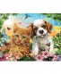 Bits and Pieces 100 Large Piece Jigsaw Puzzle Kitten and Puppy 100 pc Cat and Dog Jigsaw by Artist Adrian Chesterman