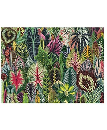 Galison Houseplant Jungle 1000 Piece Jigsaw Puzzle for Adults – Plant Jigsaw Puzzle with Mix of Succulents & Other Household Plants – Fun Indoor Activity Multicolor