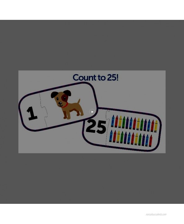 Learning Resources Counting Puzzle Cards Kindergarten Readniness Self Correcting Puzzles Ages 4+Color Multi