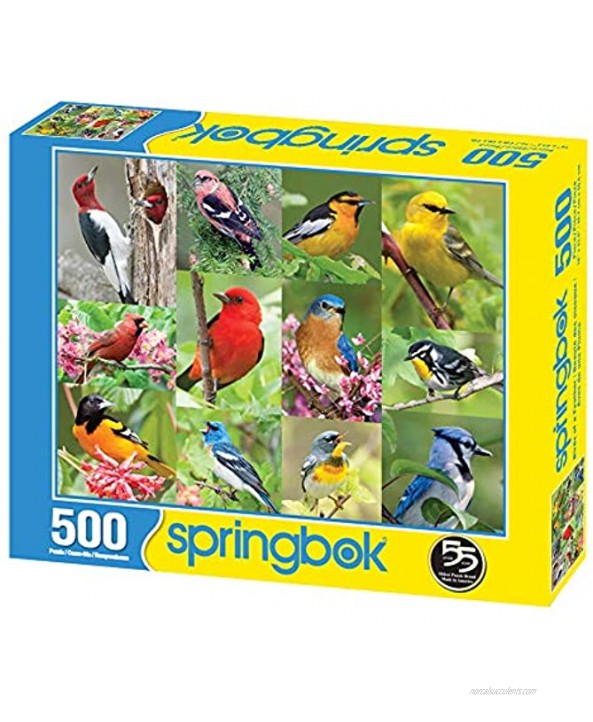 Springbok's 500 Piece Jigsaw Puzzle Birds of a Feather Multi