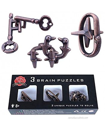 Brain Teaser Puzzle 3D Unlock Interlocking Jigsaw Metal Hole Lock Adult Educational Toy Jigsaw IQ Puzzle