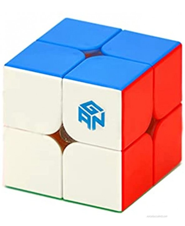 Cuberspeed GAN251 M Leap 2x2 stickerless Speed Cube GAN 251 M Leap 63 Magnets 2x2 Flagship Puzzle