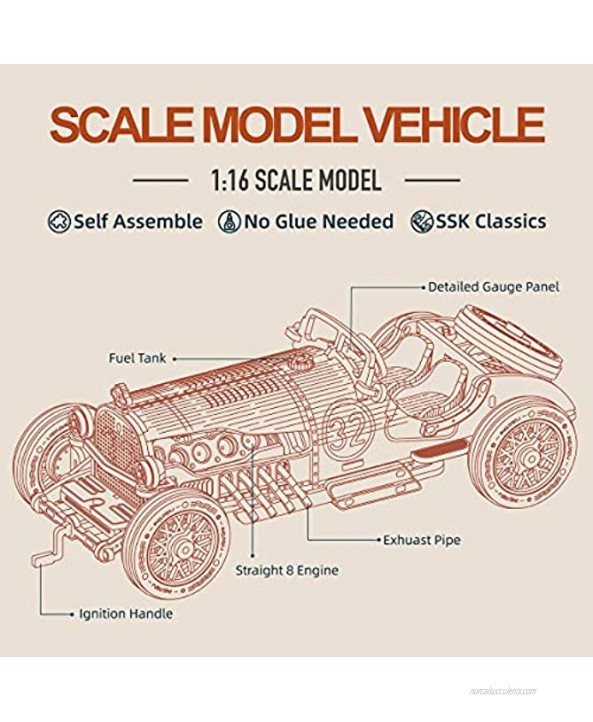 RoWood 3D Wooden Puzzle for Adults & Teens DIY Scale Mechanical Car Model Building Kits Best Toys Gift for Kids Grand Prix Car