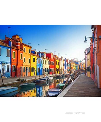 Rocorose 1000 Piece Jigsaw Puzzle,Colorful Houses in Venice Floor Puzzle for Kids Adult