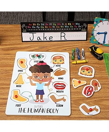 Educational Wood Peg Anatomy Puzzle Game for Kids Human Body Parts 2 Pack