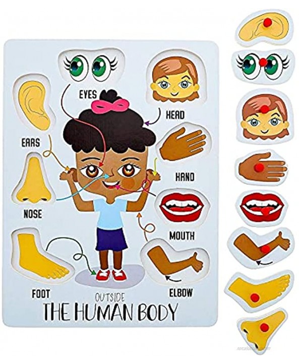 Educational Wood Peg Anatomy Puzzle Game for Kids Human Body Parts 2 Pack