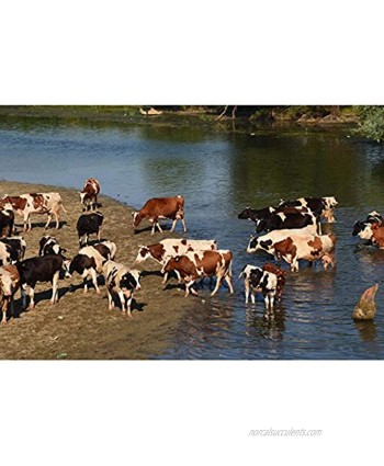 Jigsaw-Cow Animal Farm Art Gift Game Toy Wooden 500 1000 1500 2000 3000 4000 5000 6000 Piece Puzzle 1125 Color : No Letter partition Size : 1000pieces