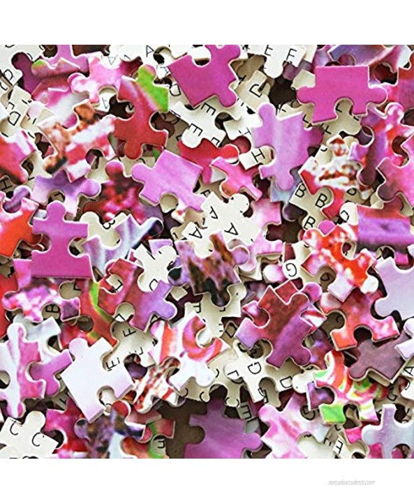 Jigsaw Puzzle Cherry Blossom Road Adult Children Puzzle Intellective Educational Toy 500 1000 1500 2000 3000 4000 Pieces 1221 Color : No partition Size : 3000 Pieces