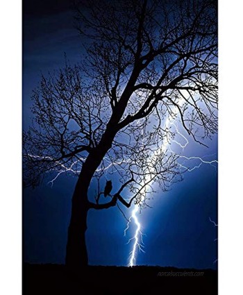 Jigsaw Puzzles Adult Children's Challenging Entertainment Relaxing Games Toys Thunder Lightning Trees 500 1000 Pieces 0109 Color : No partition Size : 1000 Pieces