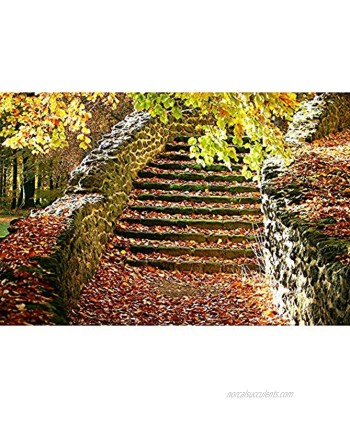 Jigsaw Puzzles Dead Leaves and Steps in Autumn Wooden Adult Children Puzzle Leisure Game 500 1000 1500 2000 3000 4000 5000 6000 Pieces 0224 Color : No partition Size : 6000 Pieces