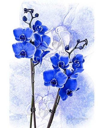 Phalaenopsis Jigsaw Puzzle Home Interesting Decompression Brain Challenge Puzzle for Teen Childrens 500 1000 1500 2000 Pieces 1229 Color : Partition Size : 2000 Pieces