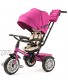 Bentley Toddler Stroller Trike Fuchsia Pink