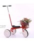 SJMFGF Stroller Wagon Baby Trikes with Parent Handle Childrens Tricycle for 18 Months to 5 Years with Multi-Function 3 Wheel Pushing Learning Bike Over 1 Year Old Girl Gifts Color : Red