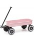 Pink Vintage Style Steel Tot Doll Wagon Personalized with Name • DAR REN